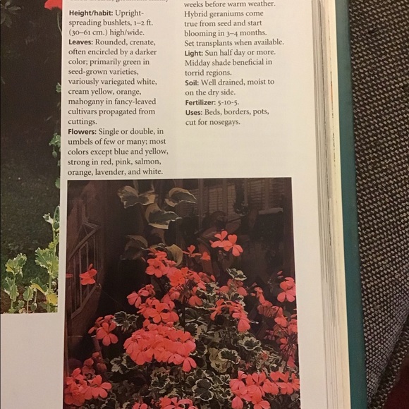 The 400 Best Garden plants encyclopedia - Picture 7 of 8